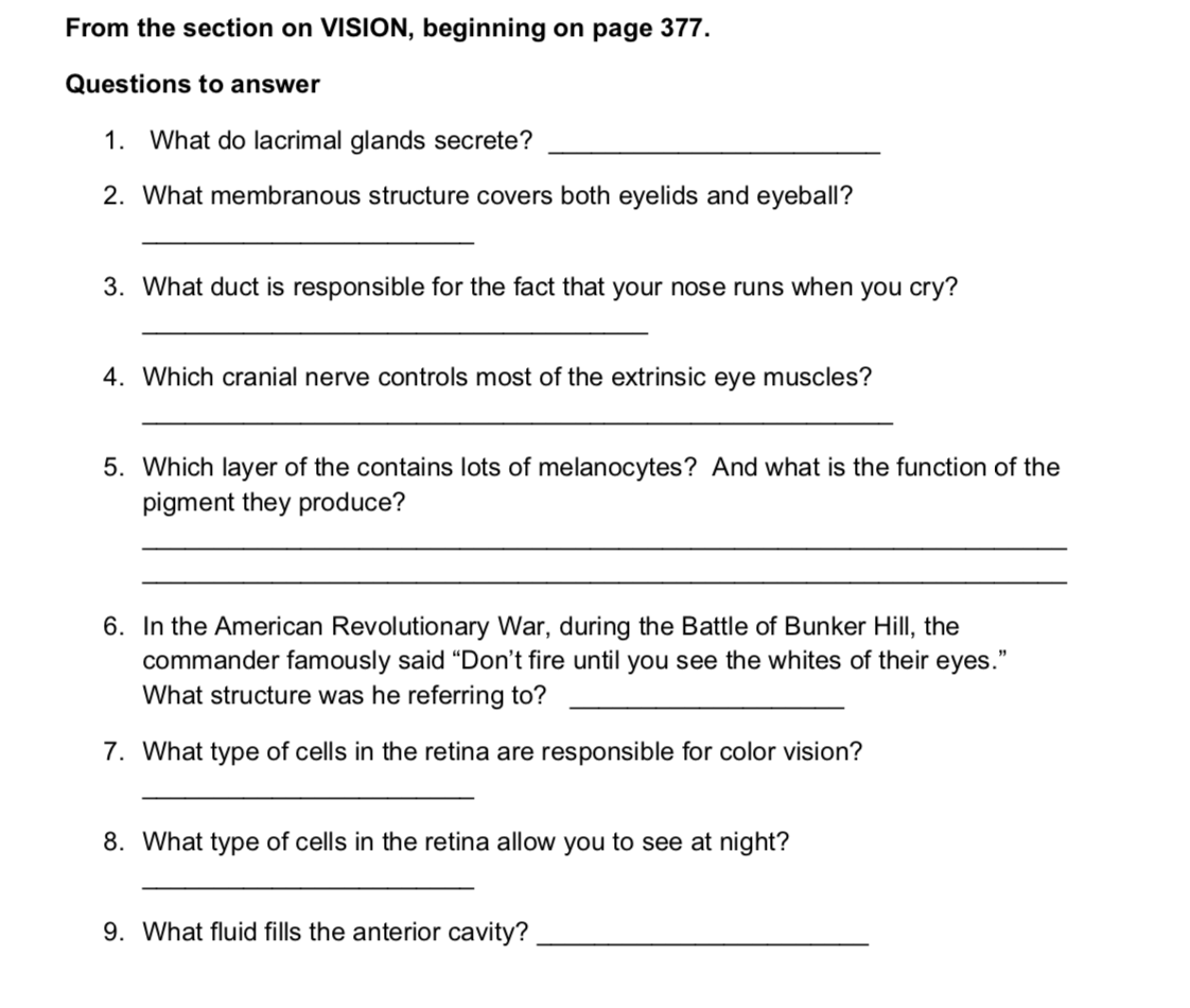 Solved From The Section On Vision Beginning On Page 377 Chegg Com<script async src=