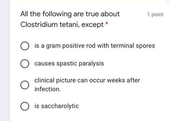 clostridium tetani spores