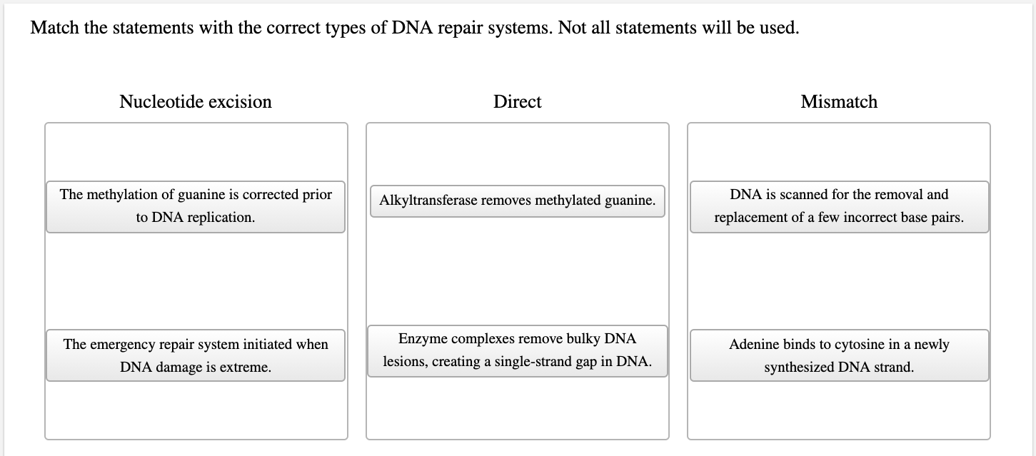 DNA repair systems