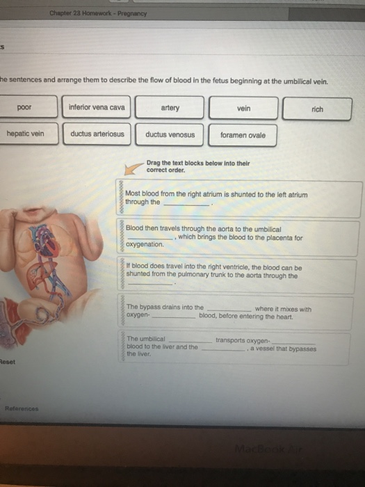 solved-chapter-23-he-sentences-and-arrange-them-to-describe-chegg