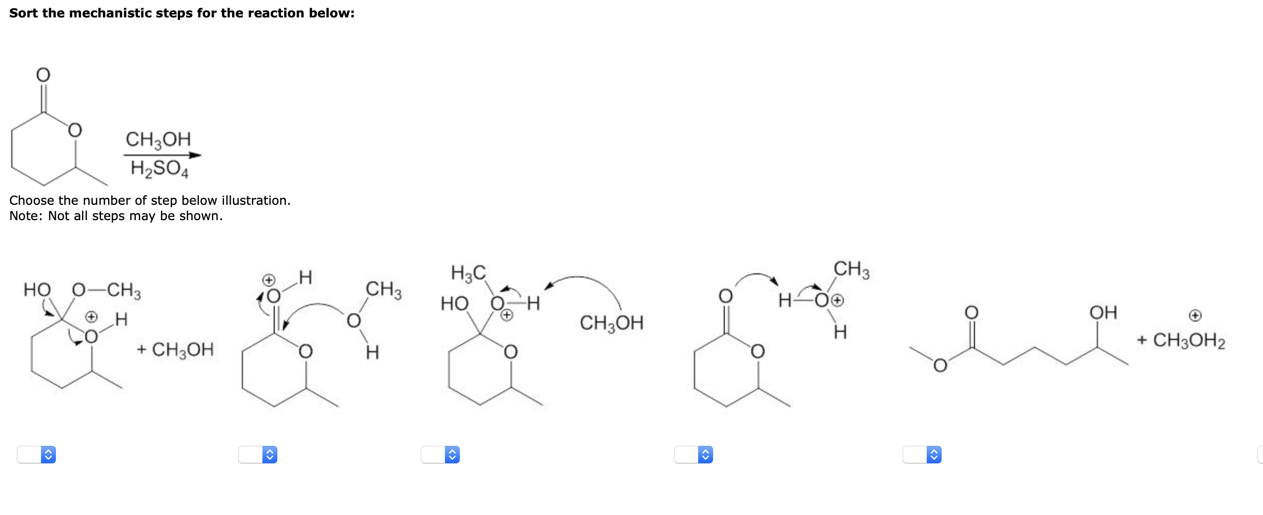 Solved Sort the mechanistic steps for the reaction below: | Chegg.com