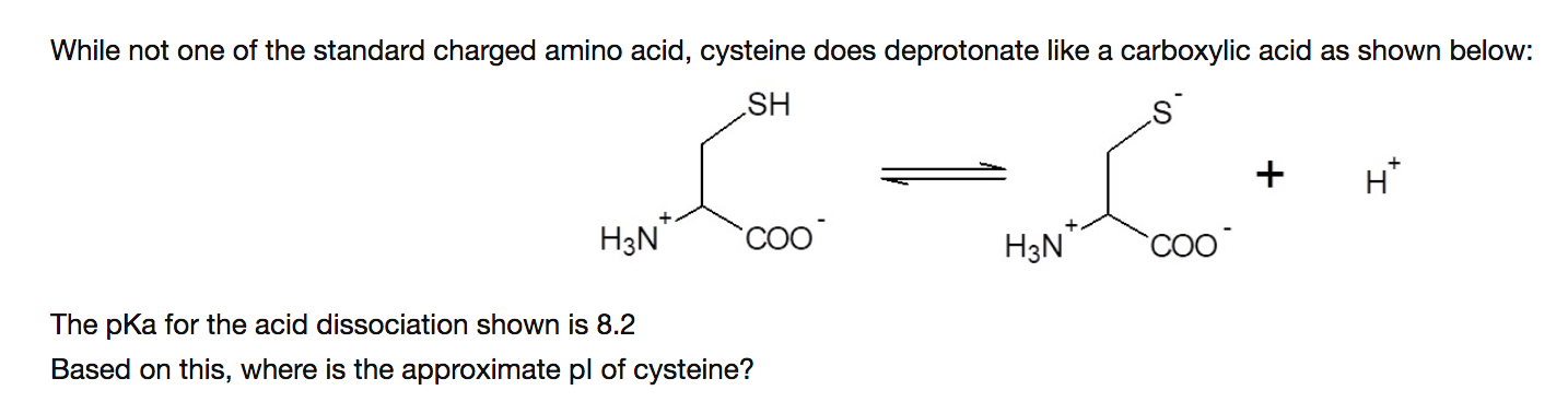 Solved While not one of the standard charged amino acid, | Chegg.com