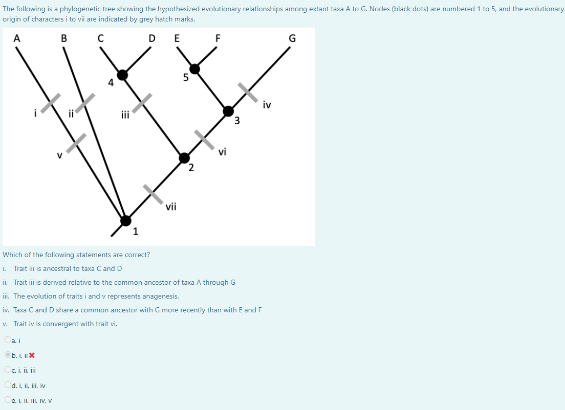 Solved The Following Is A Phylogenetic Tree Showing The | Chegg.com