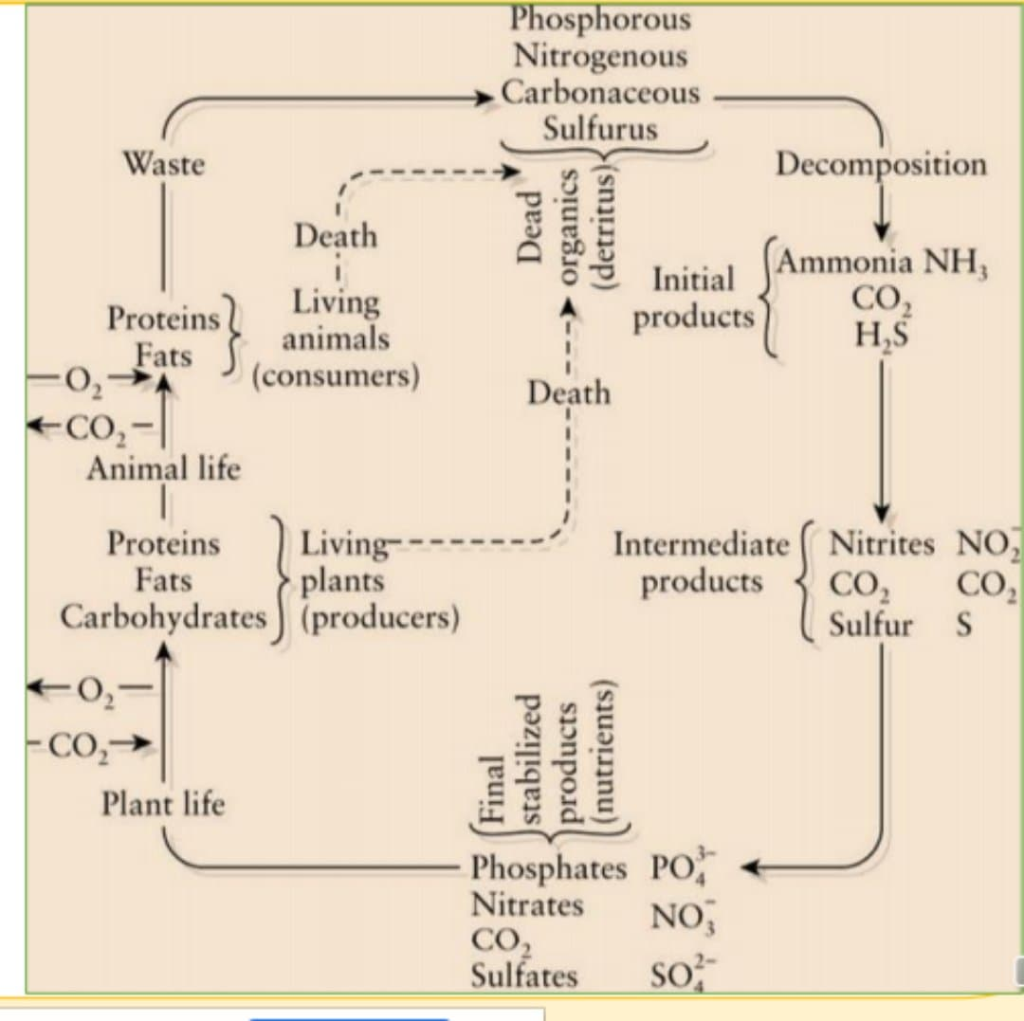 Solved Prepare a schematic diagram for each of the | Chegg.com
