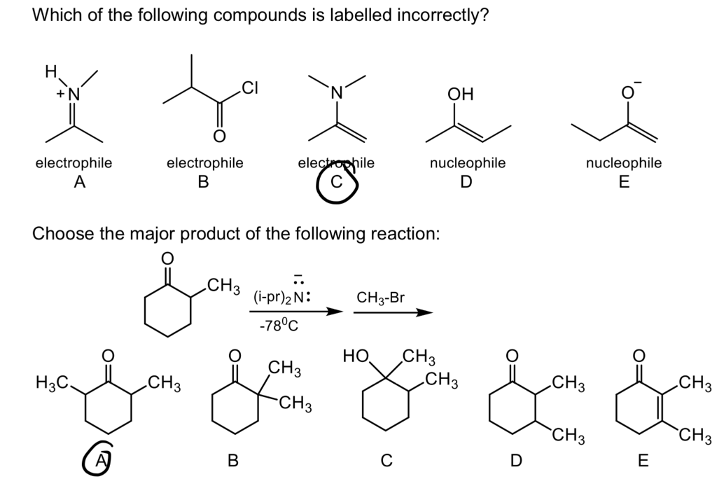 Solved Which of the following compounds is labelled | Chegg.com