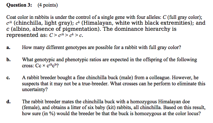 Solved Question 3: (4 points) Coat color in rabbits is under | Chegg.com
