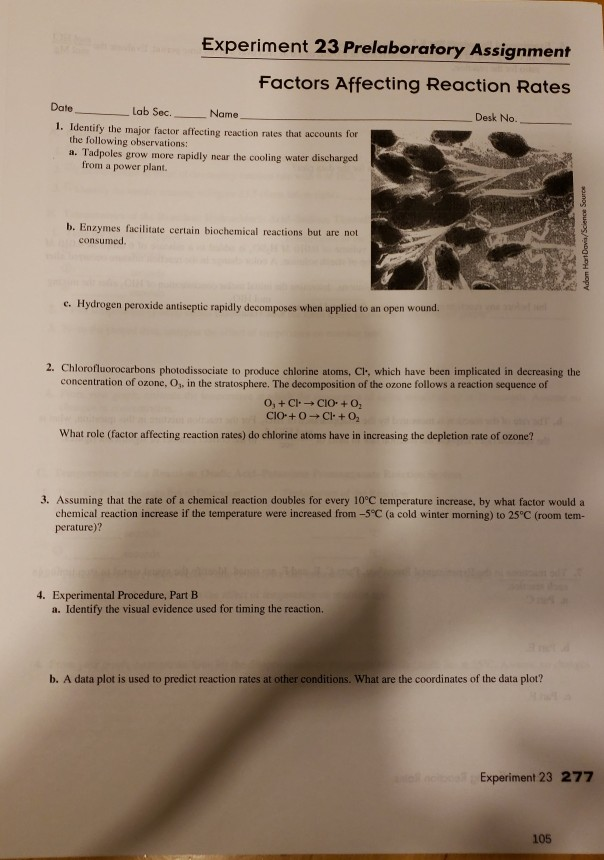 solved-experiment-23-prelaboratory-assignment-factors-chegg