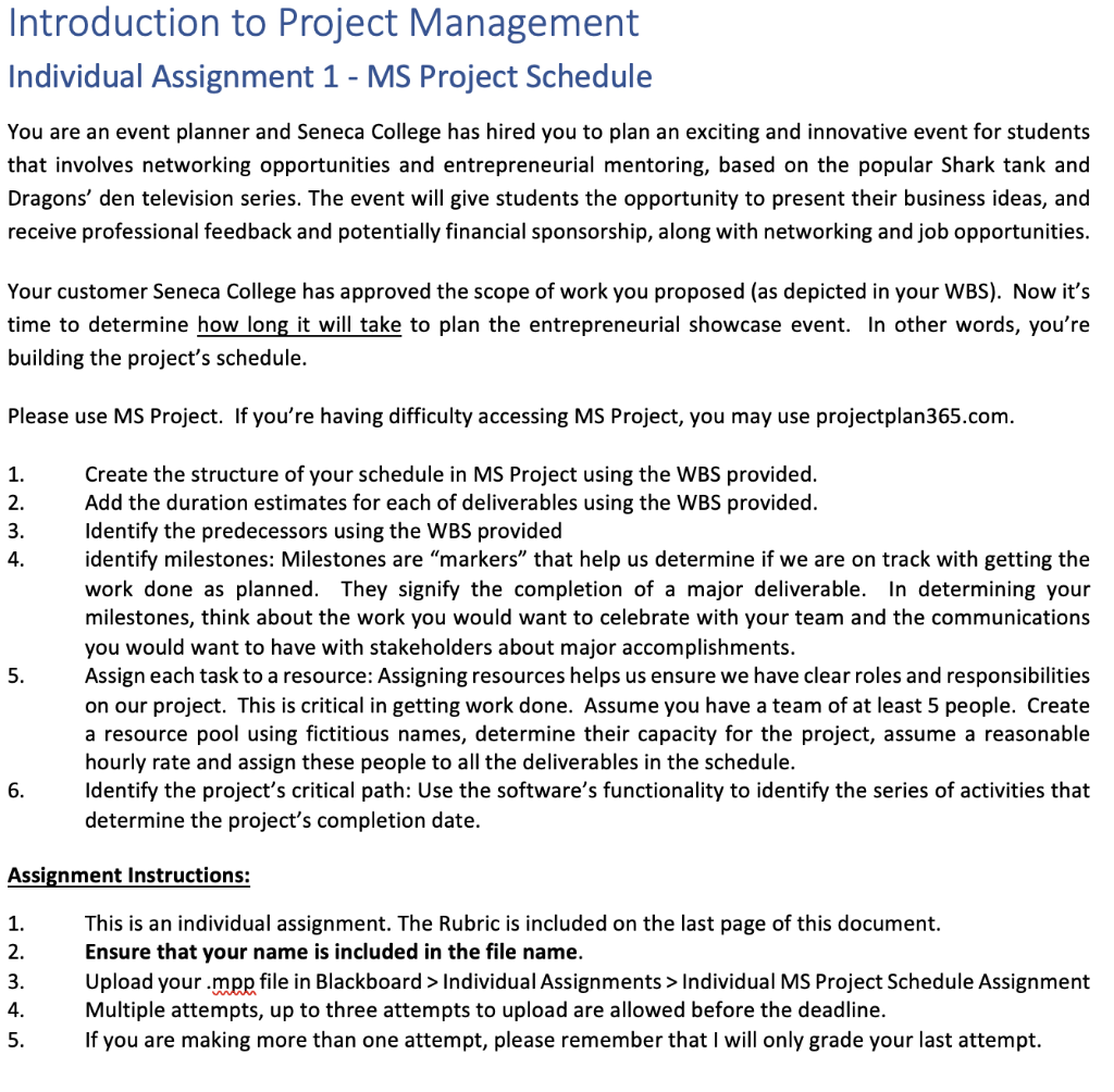 project management individual assignment