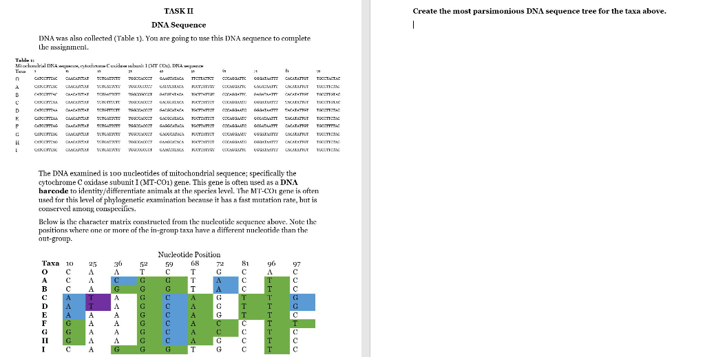 table 1 nucleotide sequences from