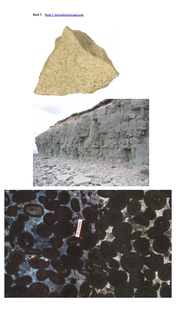 Solved GEOL 2520 Historical Geology, Lab 3 Rock Samples | Chegg.com