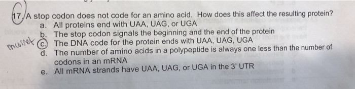 Solved 9.) Amino acids are linked together by peptide bonds | Chegg.com