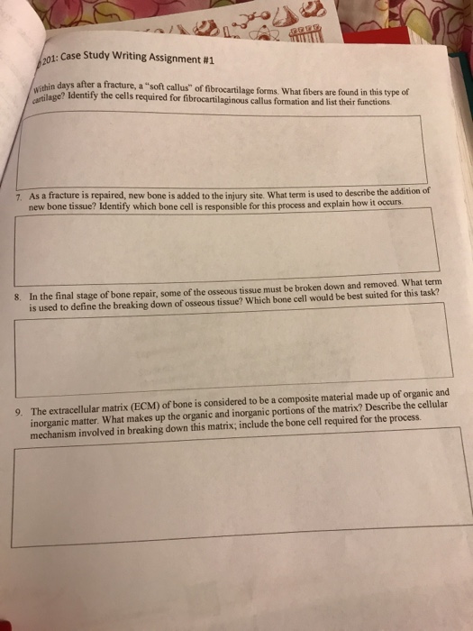 Solved Case Study B. Skeletal System - Look Out Below: A | Chegg.com