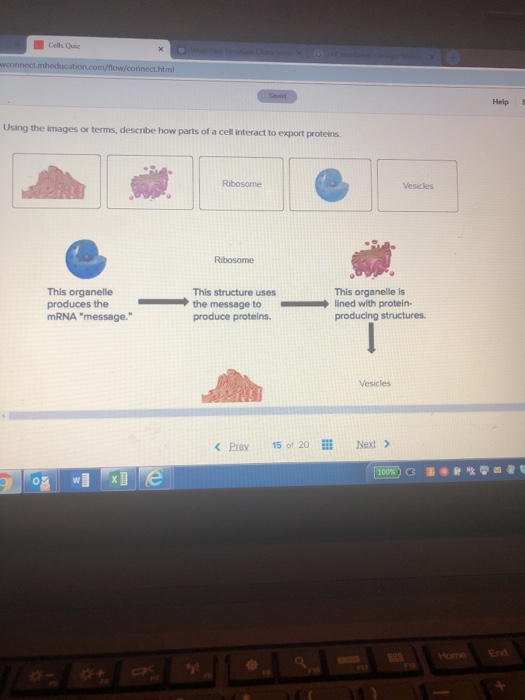 solved-cells-quiz-help-using-the-images-or-terms-descr-chegg