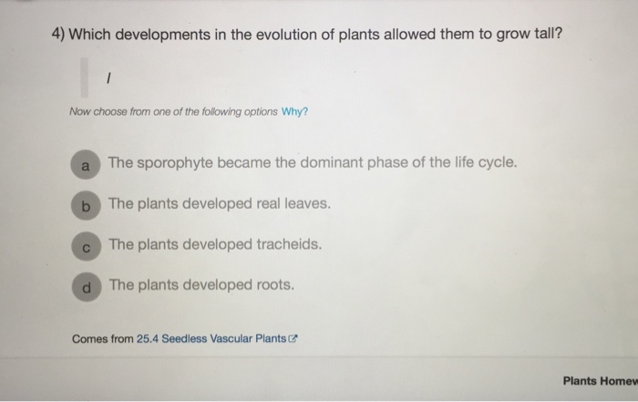 Solved 4) Which developments in the evolution of plants | Chegg.com