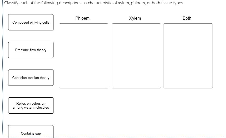 Solved Classify each of the following descriptions as | Chegg.com