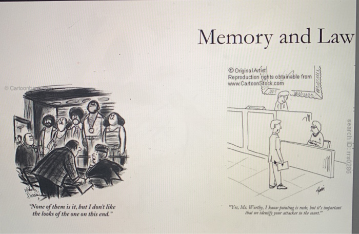 Solved memory psychology chapter 13 summerize THE SLIDES | Chegg.com