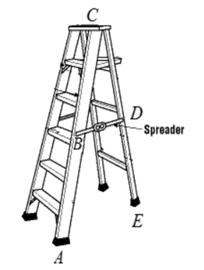 Solved For the stepladder shown in the figure below, the | Chegg.com