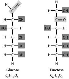 Solved Which of the following correctly describes a | Chegg.com