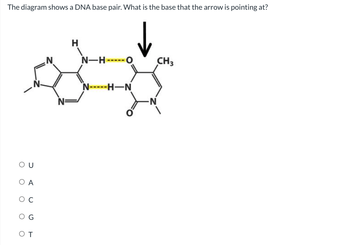 solved-the-diagram-shows-a-dna-base-pair-what-is-the-base-chegg