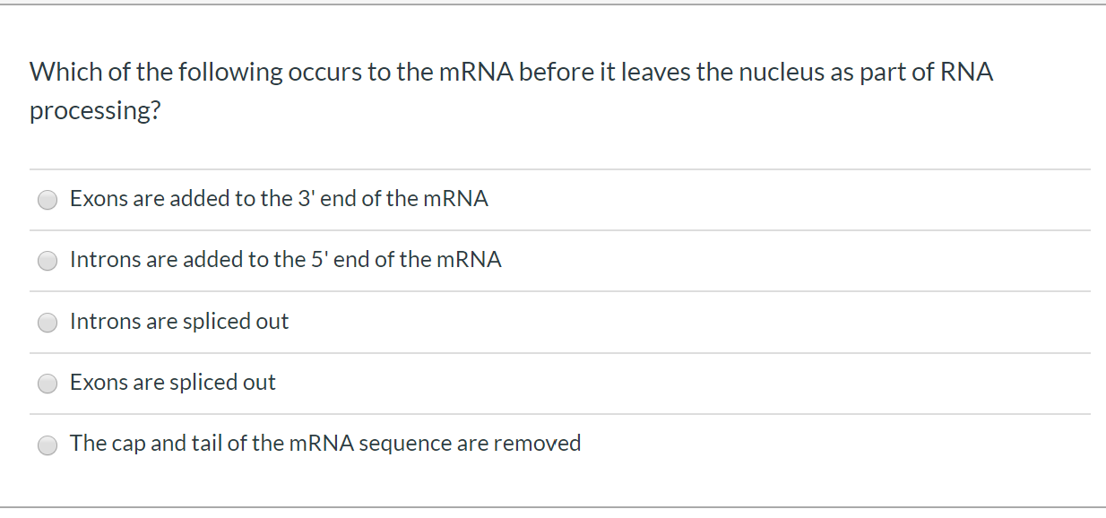 Solved Which of the following occurs to the mRNA before it | Chegg.com