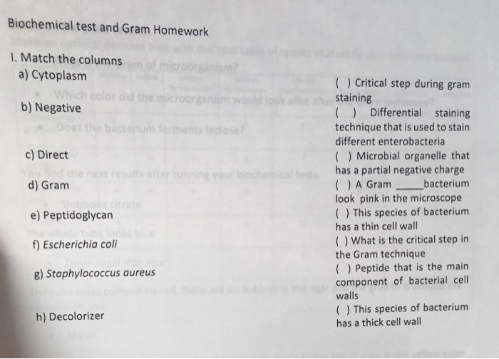 Solved Biochemical test and Gram Homework 1. Match the | Chegg.com