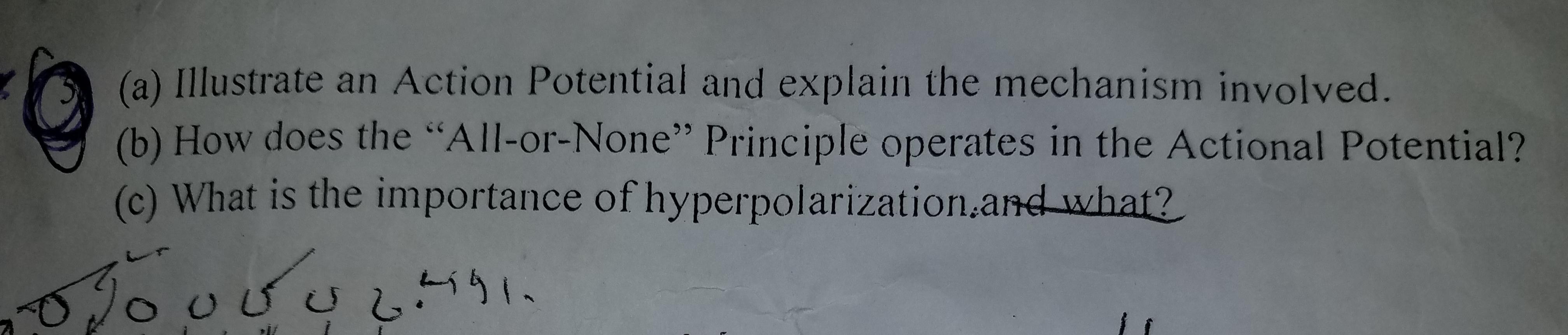 Solved (a) Illustrate an Action Potential and explain the | Chegg.com