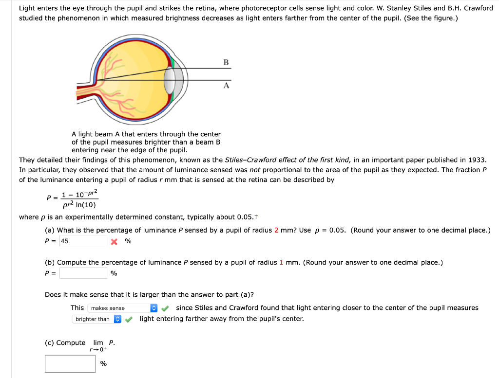 Solved Light enters the eye through the pupil and strikes