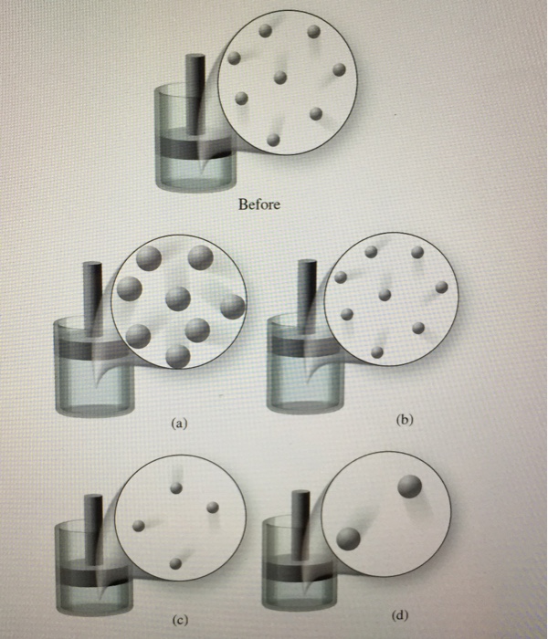 Solved The figure shows atoms of a gas at a particular | Chegg.com