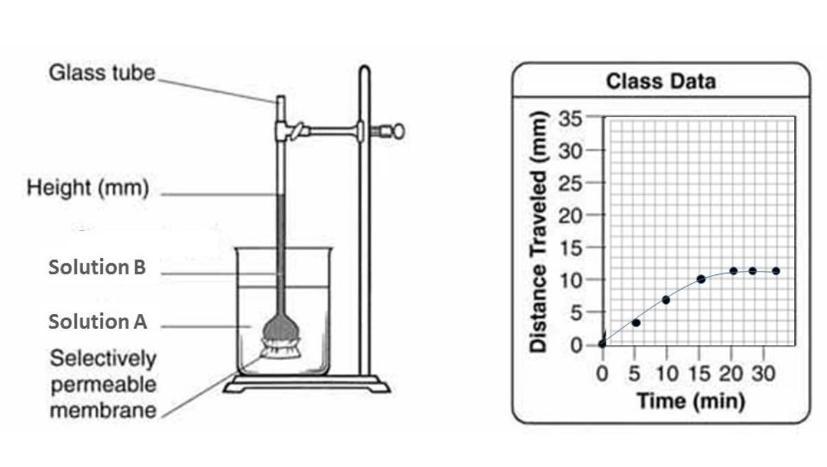 experiment of osmometer