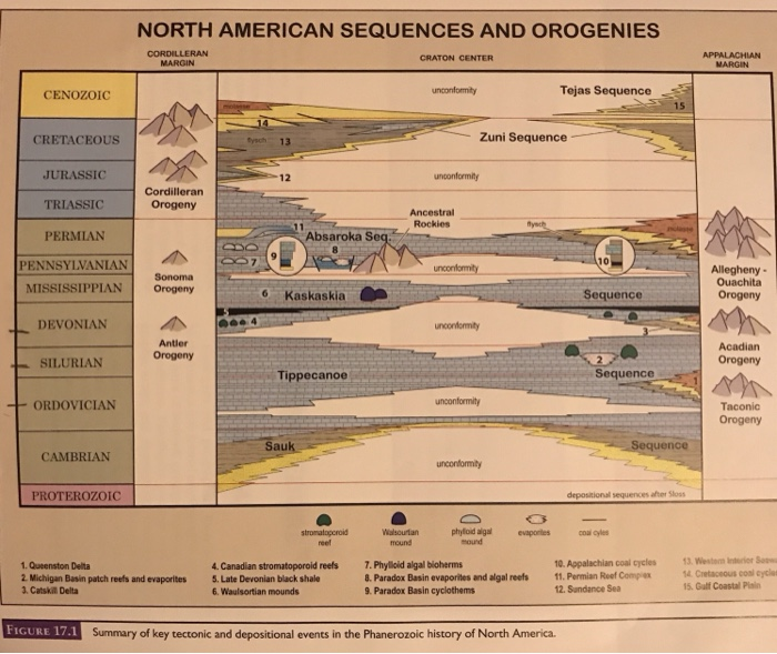 Solved NORTH AMERICAN SEQUENCES AND OROGENIES CORDILLERAN | Chegg.com