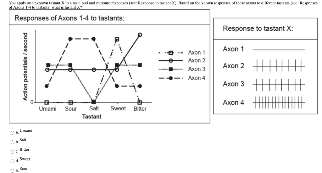 Solved What is the auditory attenuation reflex? Contraction