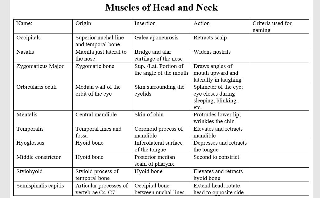 Solved Muscles Of Head And Neck Name Origin Insertion Ac Chegg Com