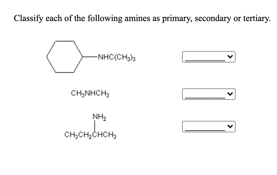 Solved Classify Each Of The Following Amines As Primary