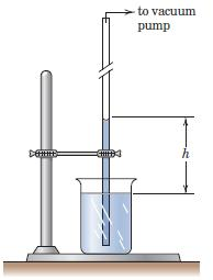 Solved Determine The Maximum Height H To Which A Vacuum 