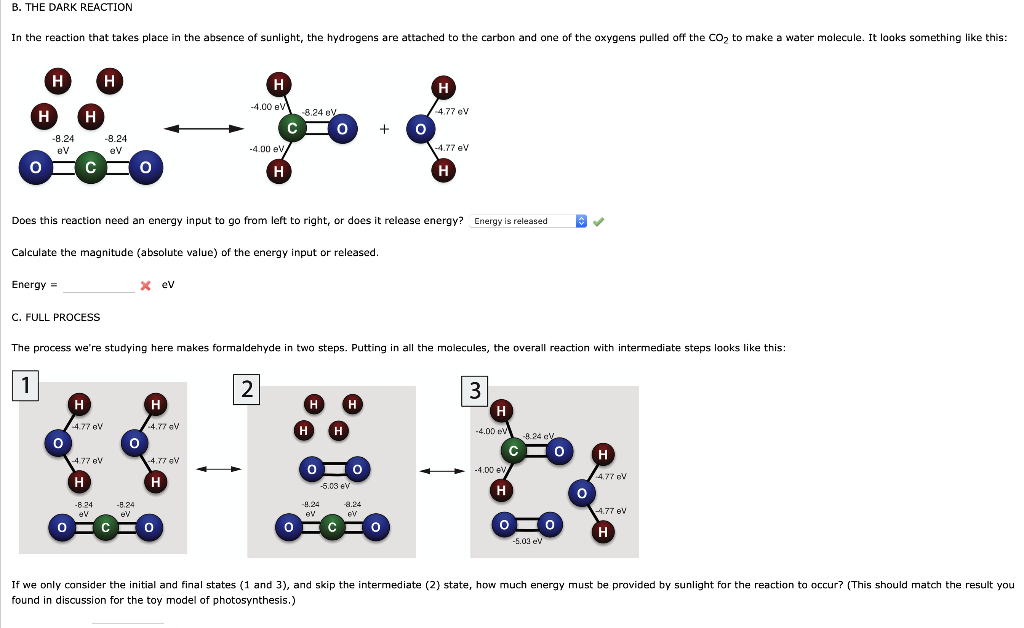 Solved B. THE DARK REACTION In The Reaction That Takes Place | Chegg.com