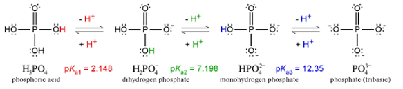 Solved What Is The Net Charge On This Molecule At A Ph Chegg Com