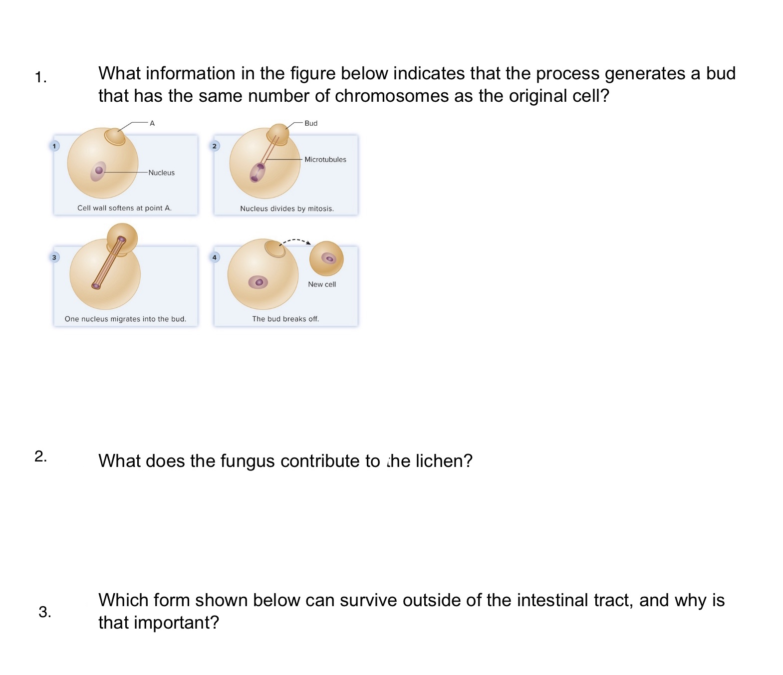 Solved Figure 273 A 1 Identify The Organism 2 Identify Or Cheggcom