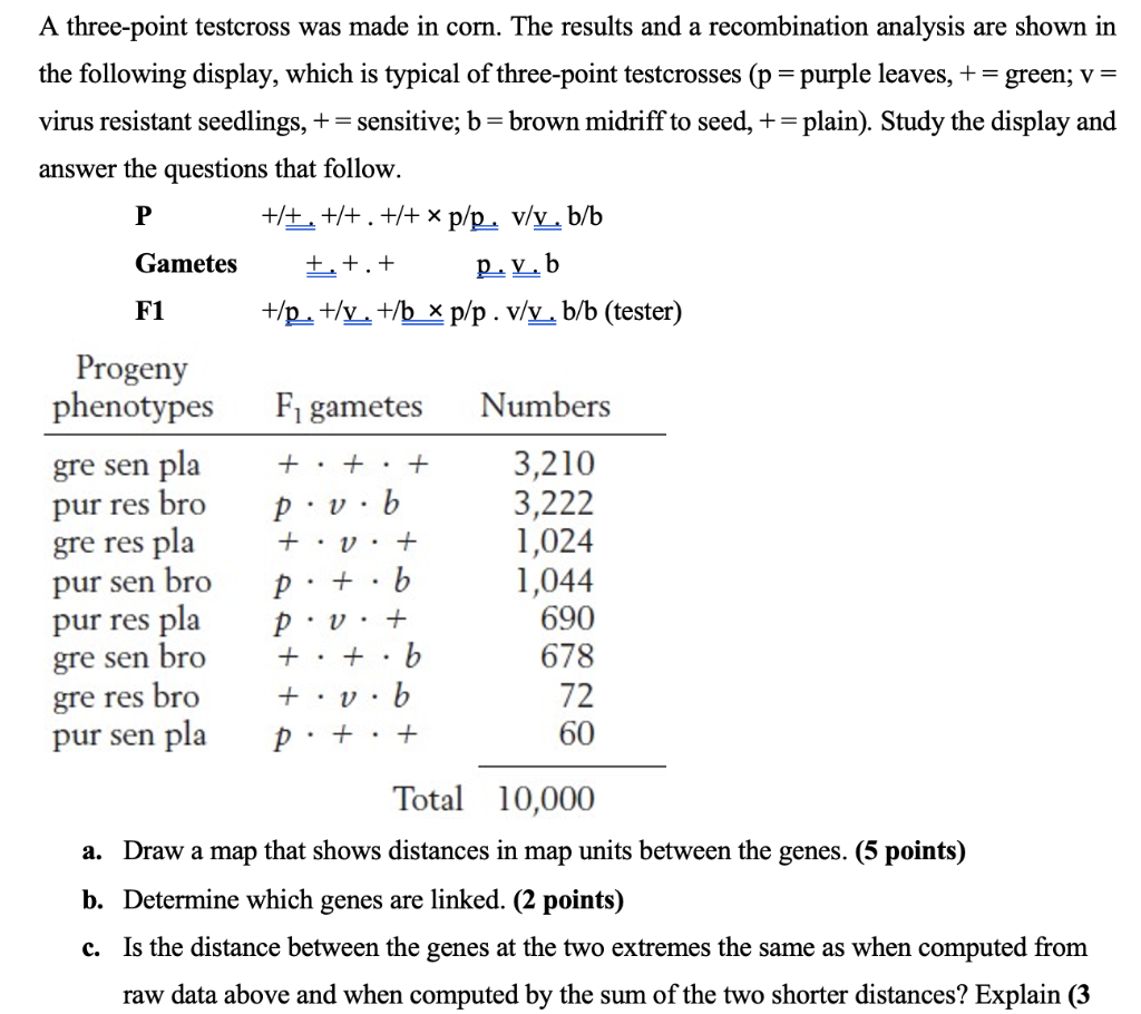 Solved A three-point testcross was made in corn. The results | Chegg.com