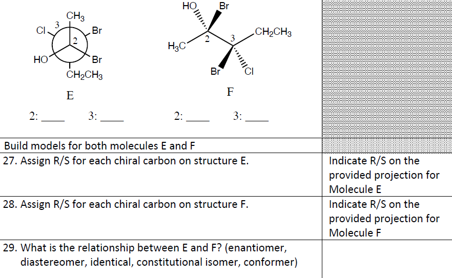 Solved Build models for both molecules E and F | Chegg.com