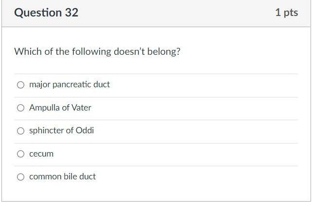 Which of the following doesnt belong?
major pancreatic duct
Ampulla of Vater
sphincter of Oddi
cecum
common bile duct