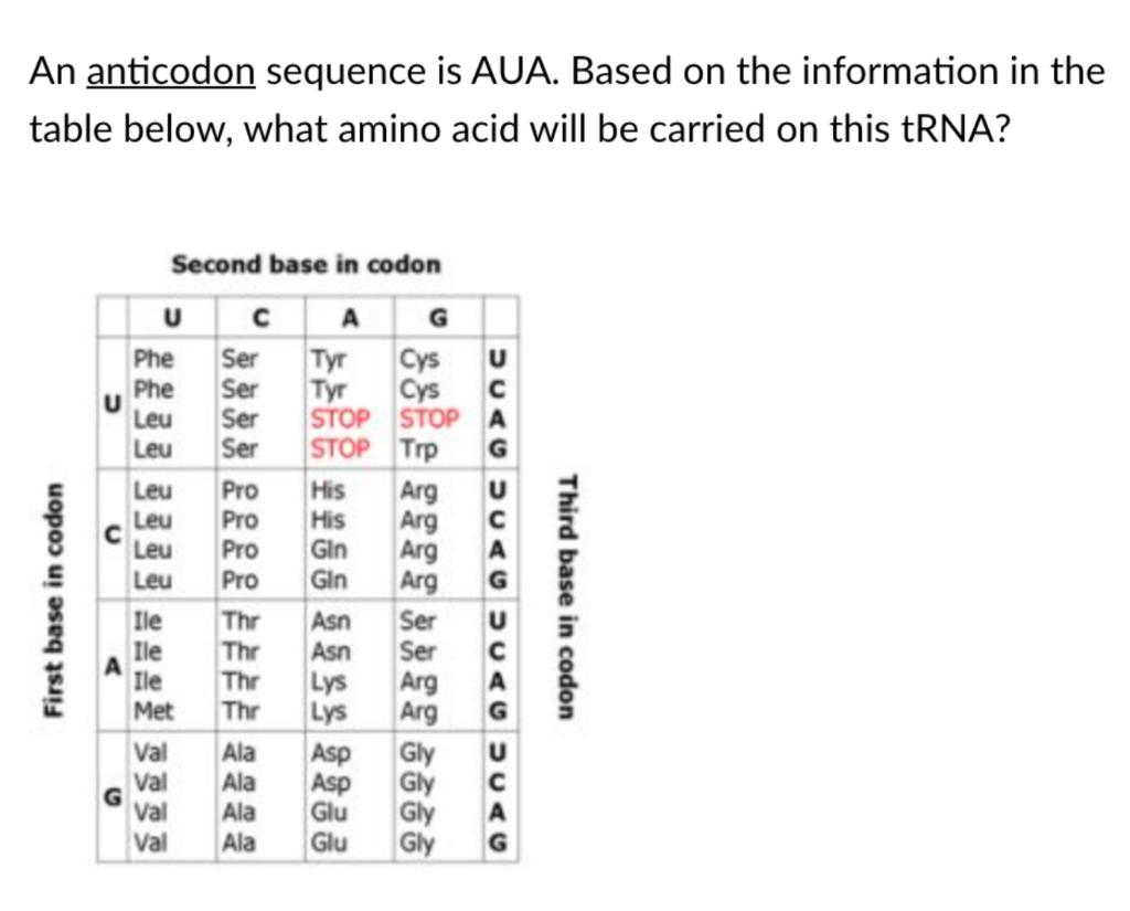 Solved How many amino acids would be included in the