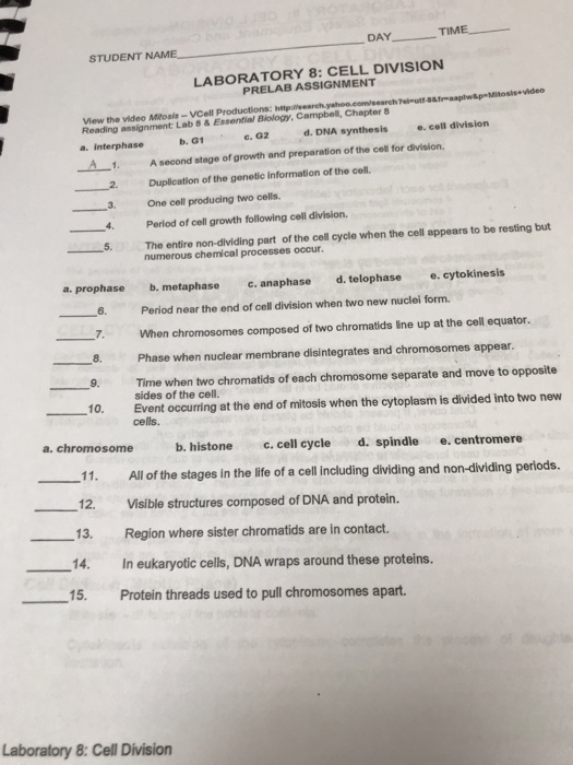 Solved DAY_ TIME STUDENT NAME LABORATORY 8: CELL DIVISION | Chegg.com