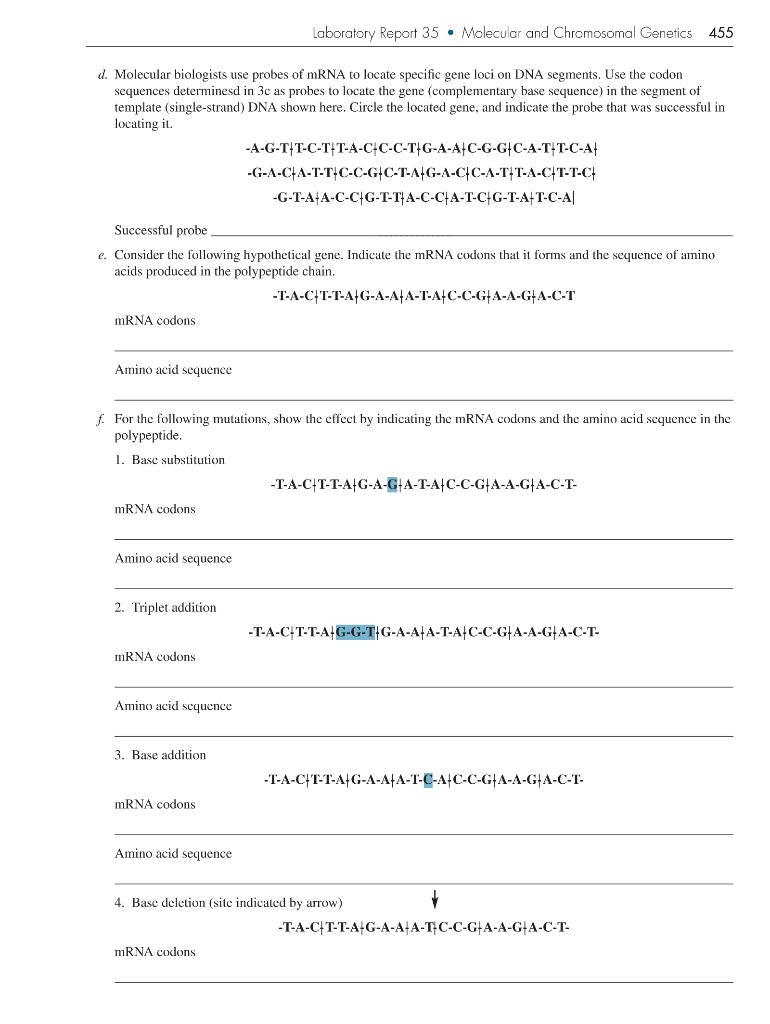 Solved Laboratory Report 35 Molecular And Chromosomal 