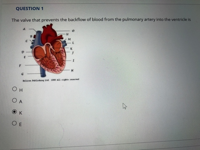Solved QUESTION 1 The valve that prevents the backflow of