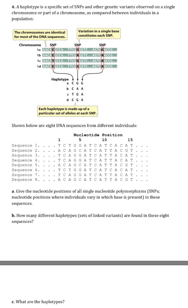 a haplotype is a specific set of snps