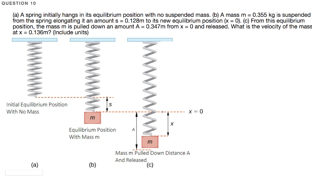 Solved QUESTION 10 (a) A spring initially hangs in its | Chegg.com