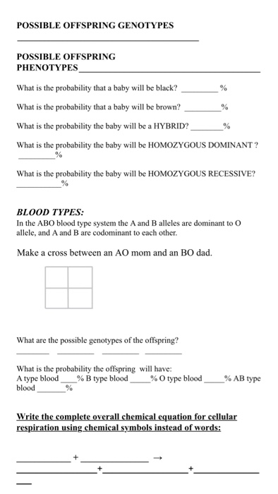 Solved Possible Offspring Genotypes Possible Offspring 