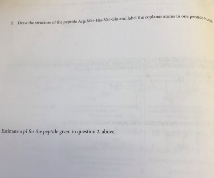 Solved e peptide bond. 2. Draw the structure of the peptide | Chegg.com