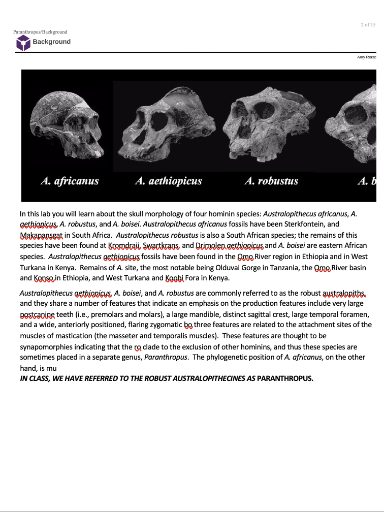 Prognathous, callipygous, steatopygous, exophthalmos