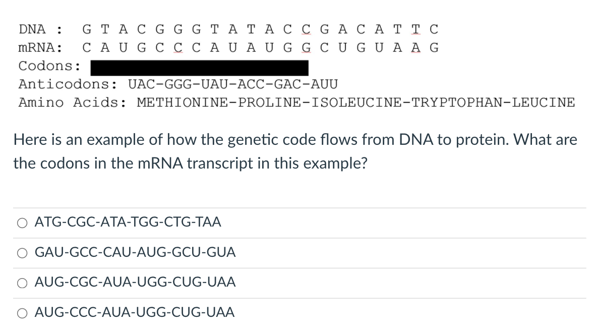 Solved DNA : GTA C G G G TATA C C G A CATT C mRNA: CAUG C C | Chegg.com